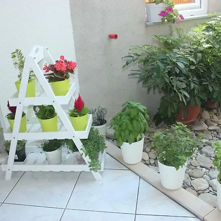 Barbara Guest house 3*